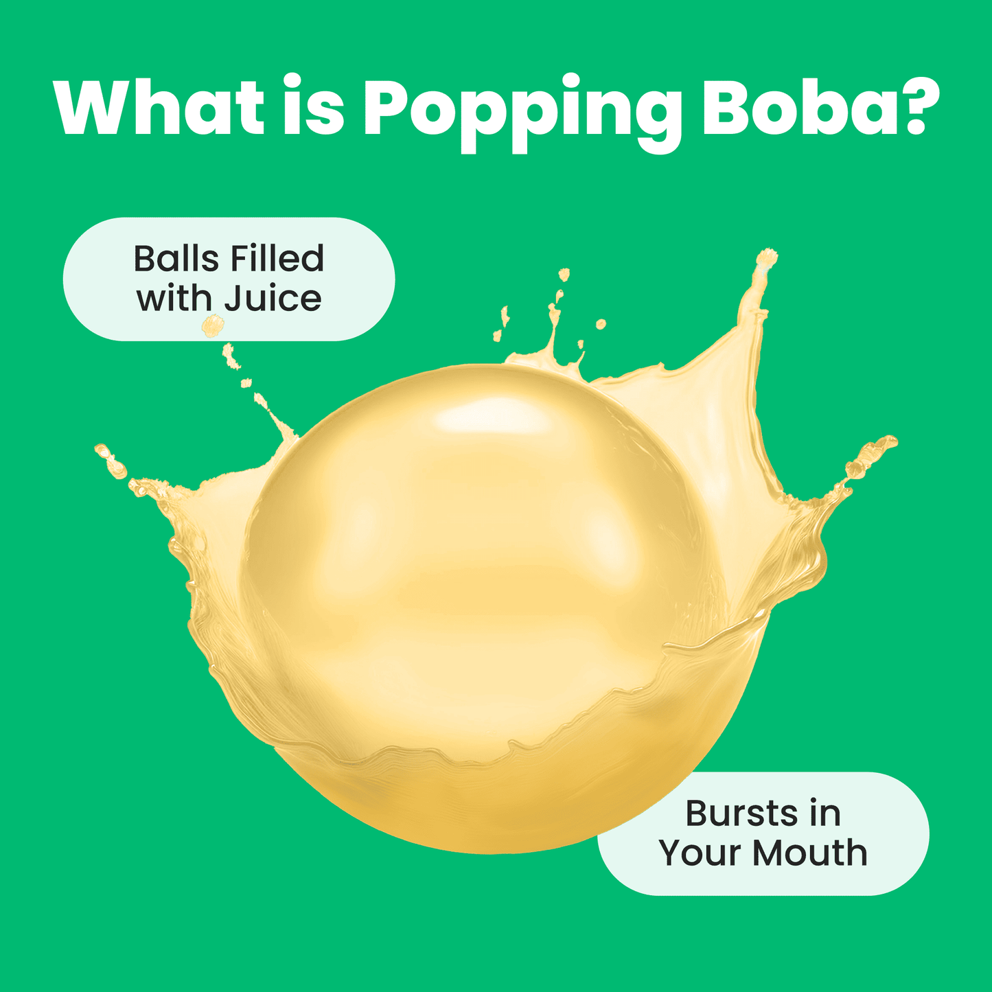 
                  
                    Dye-Free Assorted Popping Boba (10 pouches)
                  
                