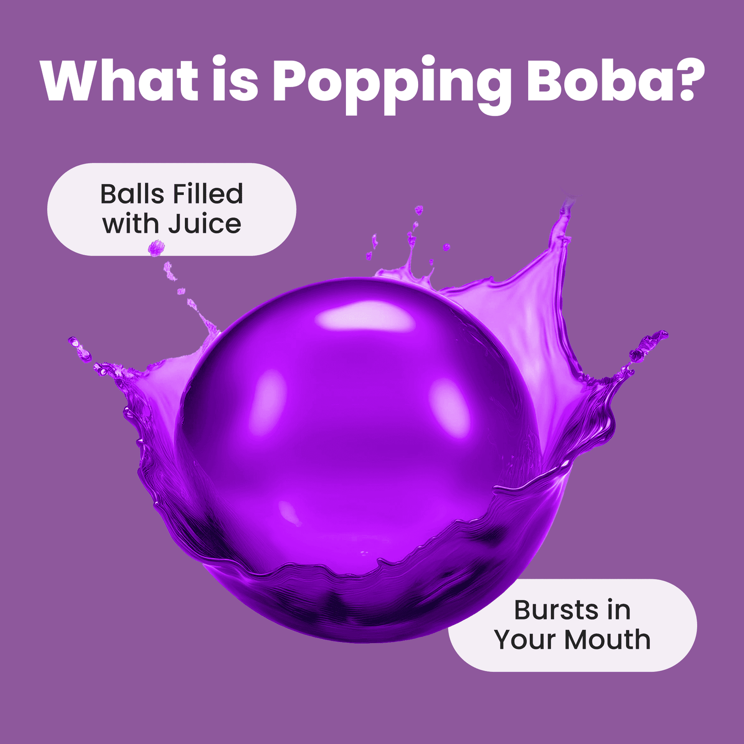 
                  
                    Grape Popping Boba (10 pouches)
                  
                