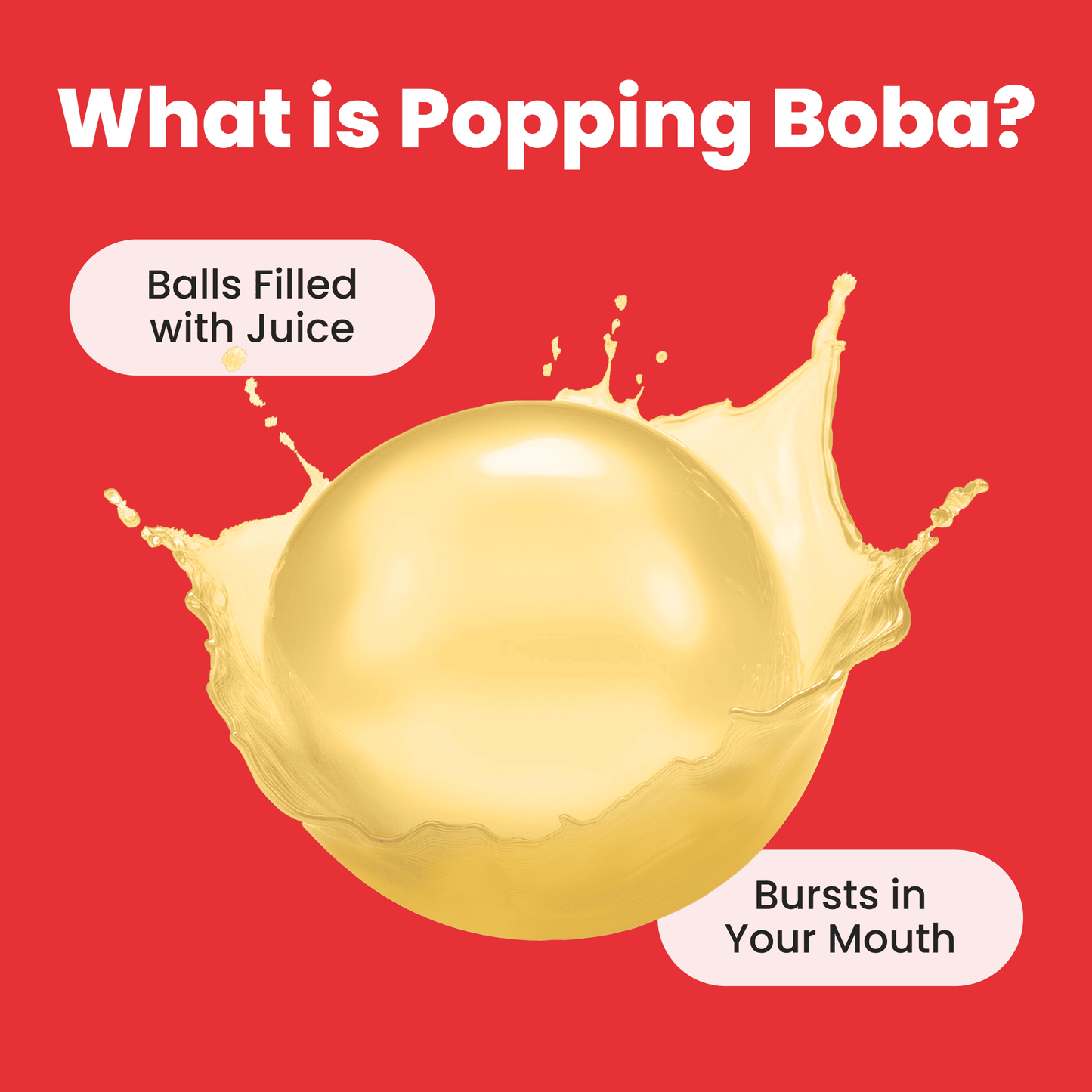 
                  
                    Watermelon Popping Boba (10 pouches)
                  
                